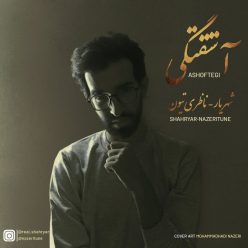 دانلود آهنگ شهریار و ناظری تیون آشفتگی با کیفیت 320